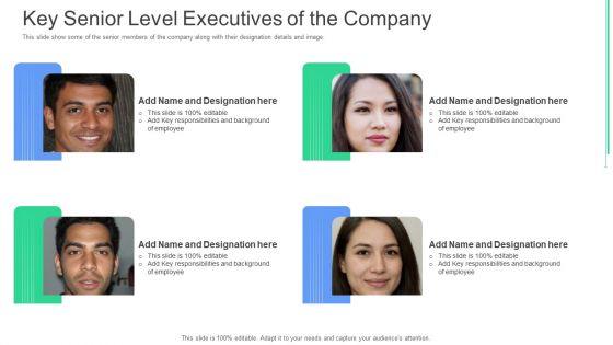 Key_Senior_Level_Executives_Of_The_Company_Ppt_Gallery_Example_File_PDF_Slide_1.jpg