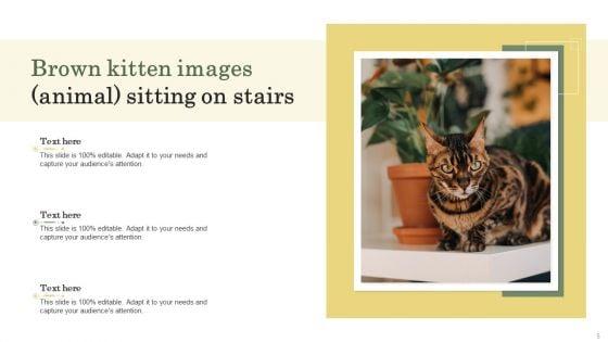 Kitten_Images_Animal_Ppt_PowerPoint_Presentation_Complete_Deck_With_Slides_Slide_5.jpg