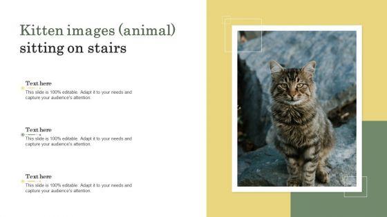 Kitten_Images_Animal_Sitting_On_Stairs_Ppt_PowerPoint_Presentation_File_Clipart_PDF_Slide_1.jpg