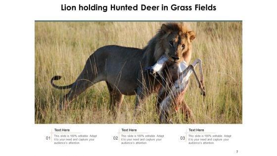 Leo_Lion_Face_Wild_Buffalo_Ppt_PowerPoint_Presentation_Complete_Deck_Slide_7.jpg