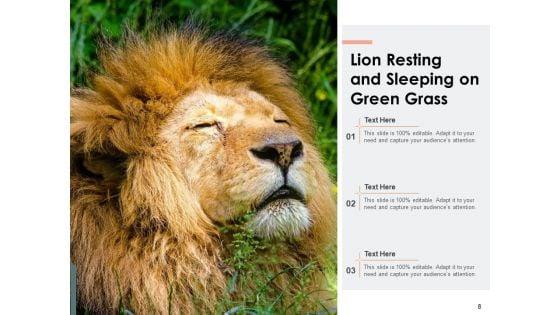 Leo_Lion_Face_Wild_Buffalo_Ppt_PowerPoint_Presentation_Complete_Deck_Slide_8.jpg