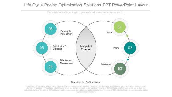 Life_Cycle_Pricing_Optimization_Solutions_Ppt_Powerpoint_Layout_1.jpg