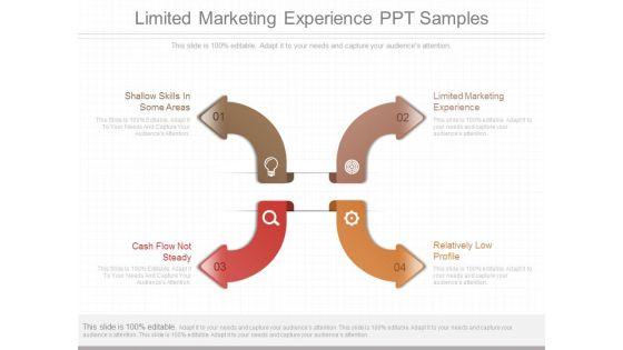 Limited_Marketing_Experience_Ppt_Samples_1.jpg