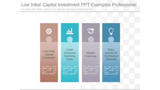 Low_Initial_Capital_Investment_Ppt_Examples_Professional_1.jpg
