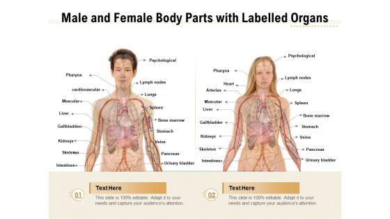 Male_And_Female_Body_Parts_With_Labelled_Organs_Ppt_PowerPoint_Presentation_Gallery_Infographics_PDF_Slide_1.jpg