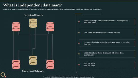 Management_Information_System_What_Is_Independent_Data_Mart_Structure_PDF_Slide_1.jpg