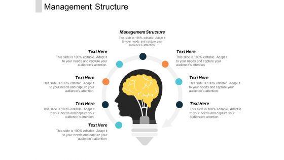 Management_Structure_Ppt_PowerPoint_Presentation_File_Show_Cpb_Slide_1.jpg