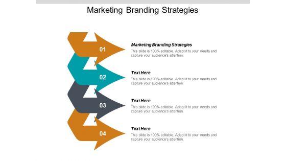 Marketing_Branding_Strategies_Ppt_PowerPoint_Presentation_Slides_Graphics_Cpb_Slide_1.jpg
