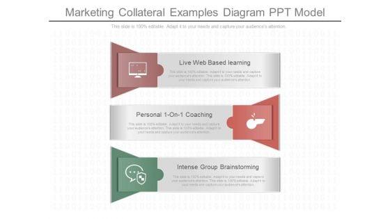 Marketing_Collateral_Examples_Diagram_Ppt_Model_1.jpg