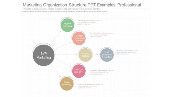 Marketing_Organization_Structure_Ppt_Examples_Professional_1.jpg