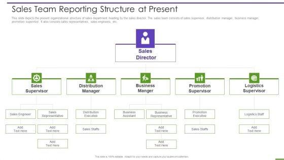 Marketing_Playbook_To_Maximize_ROI_Sales_Team_Reporting_Structure_At_Present_Ideas_PDF_Slide_1.jpg