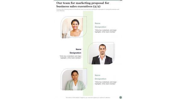 Marketing_Proposal_For_Business_Sales_Executives_Example_Document_Report_Doc_Pdf_Ppt_Slide_11.jpg