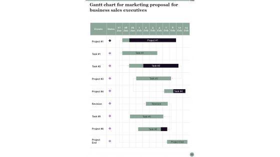 Marketing_Proposal_For_Business_Sales_Executives_Example_Document_Report_Doc_Pdf_Ppt_Slide_18.jpg