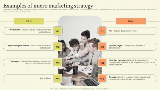 Marketing_Techniques_For_Increasing_Target_Audience_Examples_Of_Micro_Marketing_Strategy_Designs_PDF_Slide_1.jpg