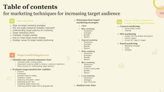 Marketing_Techniques_For_Increasing_Target_Audience_Ppt_PowerPoint_Presentation_Complete_Deck_With_Slides_Slide_3.jpg