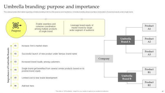 Maximizing_Brand_Growth_With_Umbrella_Branding_Activities_Ppt_PowerPoint_Presentation_Complete_Deck_With_Slides_Slide_45.jpg