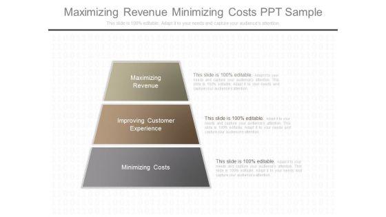Maximizing_Revenue_Minimizing_Costs_Ppt_Sample_1.jpg