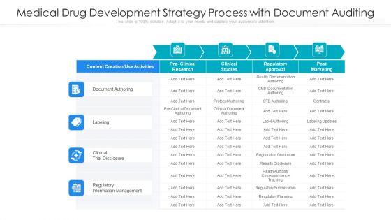 Medical Drug Development Strategy Process With Document Auditing Ppt PowerPoint Presentation Gallery Show PDF Medical Drug Development Strategy Process With Document Auditing Ppt PowerPoint Presentation Gallery Show PDF