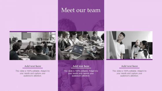 Meet_Our_Team_Brand_And_Equity_Evaluation_Techniques_And_Procedures_Slides_PDF_Slide_1.jpg