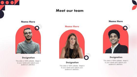 Meet_Our_Team_Year_Over_Year_Business_Success_Playbook_Infographics_PDF_Slide_1.jpg