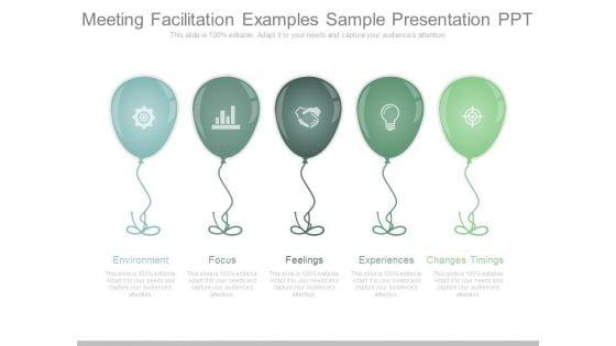 Meeting_Facilitation_Examples_Sample_Presentation_Ppt_1.jpg