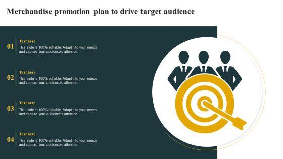 Merchandise_Promotion_Plan_To_Drive_Target_Audience_Demonstration_PDF_Slide_1.jpg