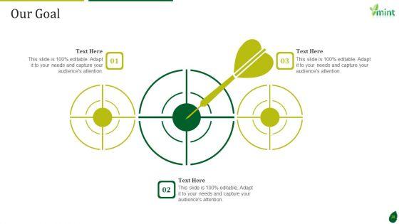 Mint_Investor_Capital_Raising_Pitch_Deck_Ppt_PowerPoint_Presentation_Complete_Deck_With_Slides_Slide_28.jpg