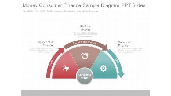 Money_Consumer_Finance_Sample_Diagram_Ppt_Slides_1.jpg