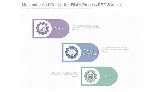 Monitoring_And_Controlling_Risks_Process_Ppt_Sample_1.jpg