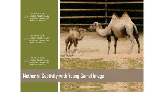 Mother_In_Captivity_With_Young_Camel_Image_Ppt_PowerPoint_Presentation_Gallery_Display_PDF_Slide_1.jpg