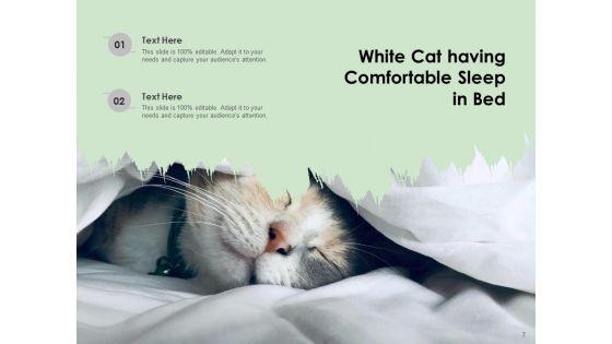 Nap_Comfortable_Sleep_Individual_Ppt_PowerPoint_Presentation_Complete_Deck_Slide_7.jpg