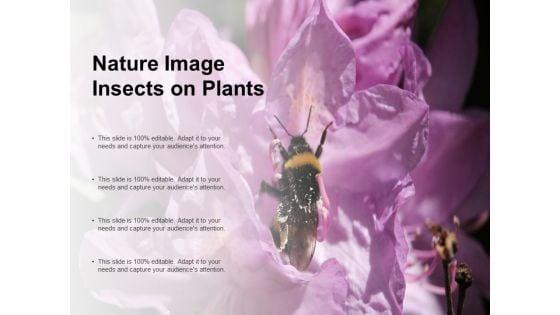 Nature_Image_Insects_On_Plants_Ppt_PowerPoint_Presentation_Styles_Brochure_Slide_1.jpg