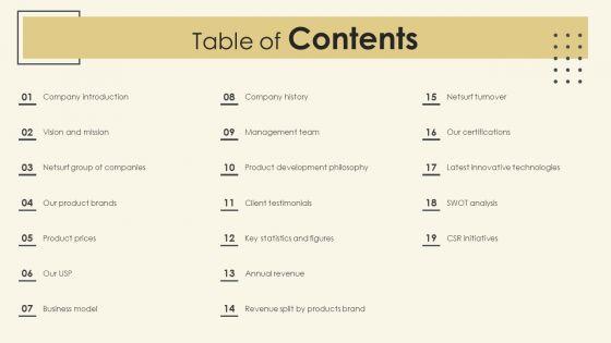 Netsurf_Business_Profile_Table_Of_Contents_Ppt_Professional_Sample_PDF_Slide_1.jpg