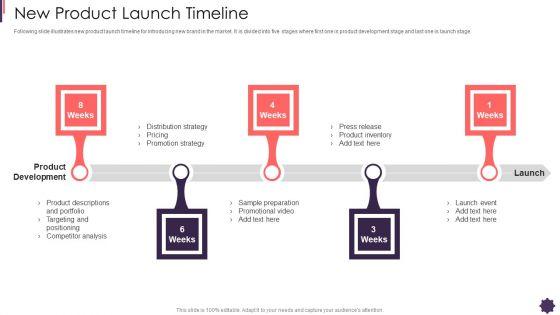 New_Product_Launch_Timeline_Brand_Techniques_Structure_Guidelines_PDF_Slide_1.jpg