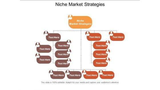 Niche_Market_Strategies_Ppt_PowerPoint_Presentation_Styles_Slide_1.jpg