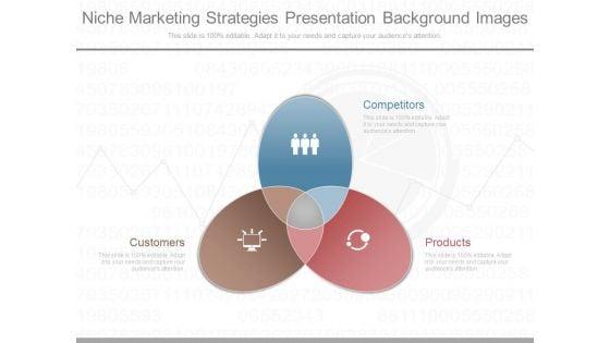 Niche_Marketing_Strategies_Presentation_Background_Images_1.jpg