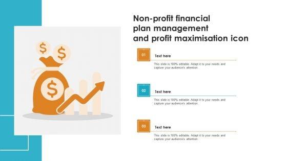 Non_Profit_Financial_Plan_Management_And_Profit_Maximisation_Icon_Brochure_PDF_Slide_1.jpg
