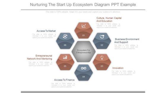 Nurturing_The_Start_Up_Ecosystem_Diagram_Ppt_Example_1.jpg