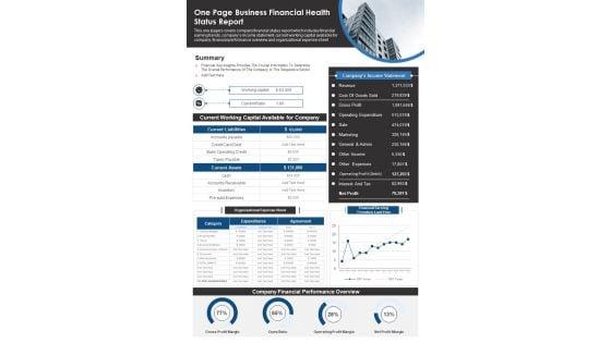 One_Page_Business_Financial_Health_Status_Report_PDF_Document_PPT_Template_Slide_1.jpg