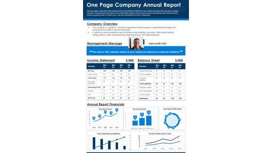 One_Page_Company_Annual_Report_PDF_Document_PPT_Template_Slide_1.jpg