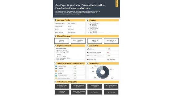 One_Pager_Organization_Financial_Information_Examination_Executive_Overview_PDF_Document_PPT_Template_Slide_1.jpg