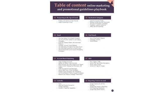 Online_Marketing_And_Promotional_Guidelines_Playbook_Template_Slide_2.jpg