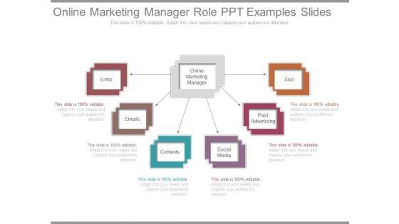Online_Marketing_Manager_Role_Ppt_Examples_Slides_1.jpg