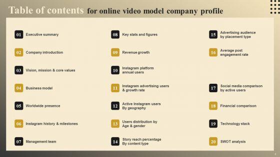 Online_Video_Model_Company_Profile_Ppt_PowerPoint_Presentation_Complete_Deck_With_Slides_Slide_2.jpg
