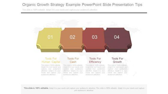 Organic_Growth_Strategy_Example_Powerpoint_Slide_Presentation_Tips_1.jpg
