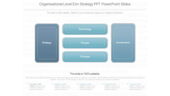 Organisational_Level_Eim_Strategy_Ppt_Power_Point_Slides_1.jpg