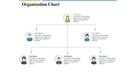 Organization_Chart_Ppt_PowerPoint_Presentation_Infographics_Guide_Slide_1.jpg