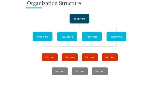Organization_Structure_Ppt_PowerPoint_Presentation_Styles_Slide_1.jpg