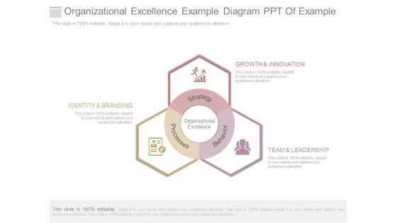 Organizational_Excellence_Example_Diagram_Ppt_Of_Example_1.jpg