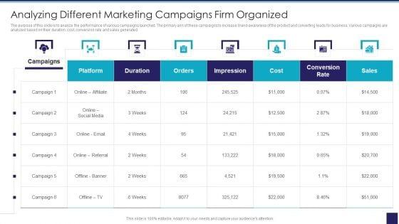Organizational_Issue_Resolution_Tool_Analyzing_Different_Marketing_Campaigns_Firm_Organized_Elements_PDF_Slide_1.jpg